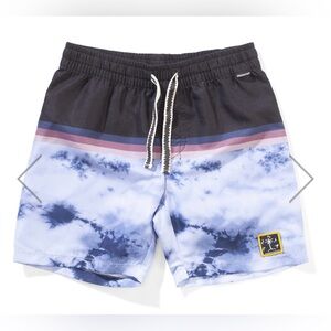 Munster Dyestripe Boardshorts - Blue Dye